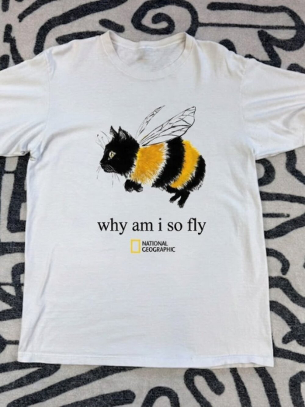 Funny Graphic Tee: "Why Am I So Fly" Cat Bee Shirt